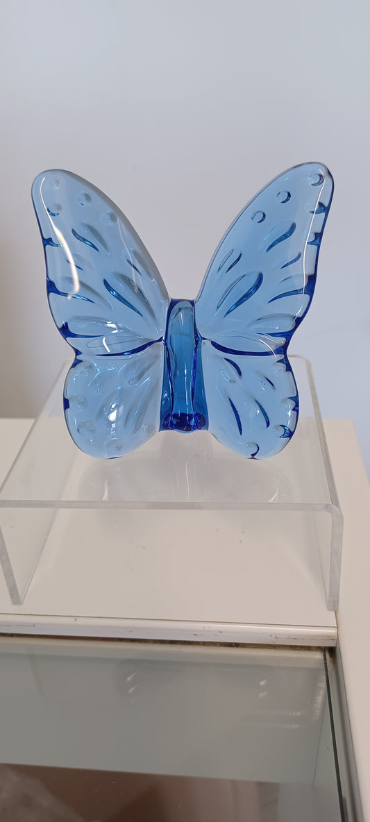 Glass Butterfly