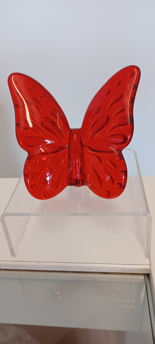 Glass Butterfly