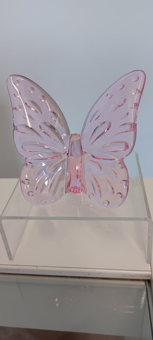 Glass Butterfly