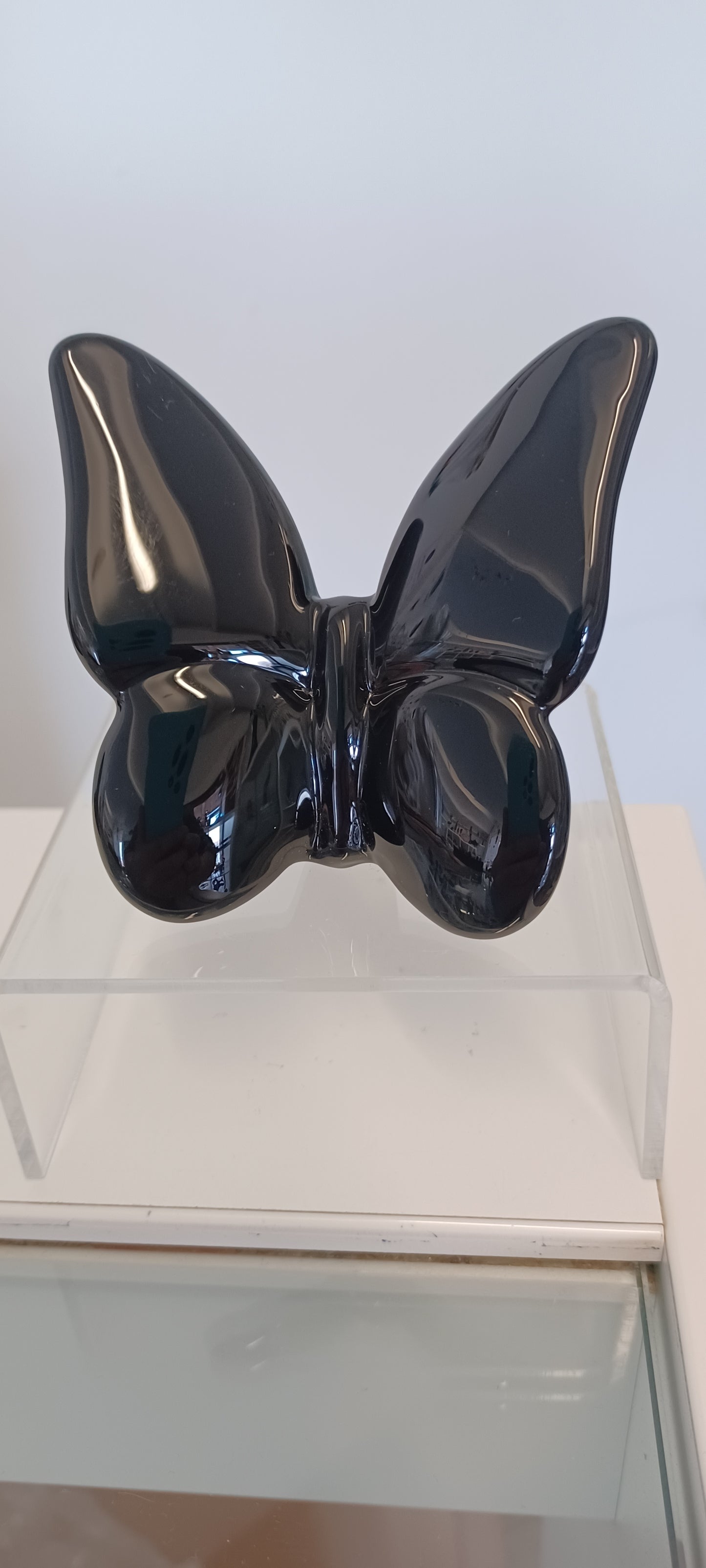 Glass Butterfly