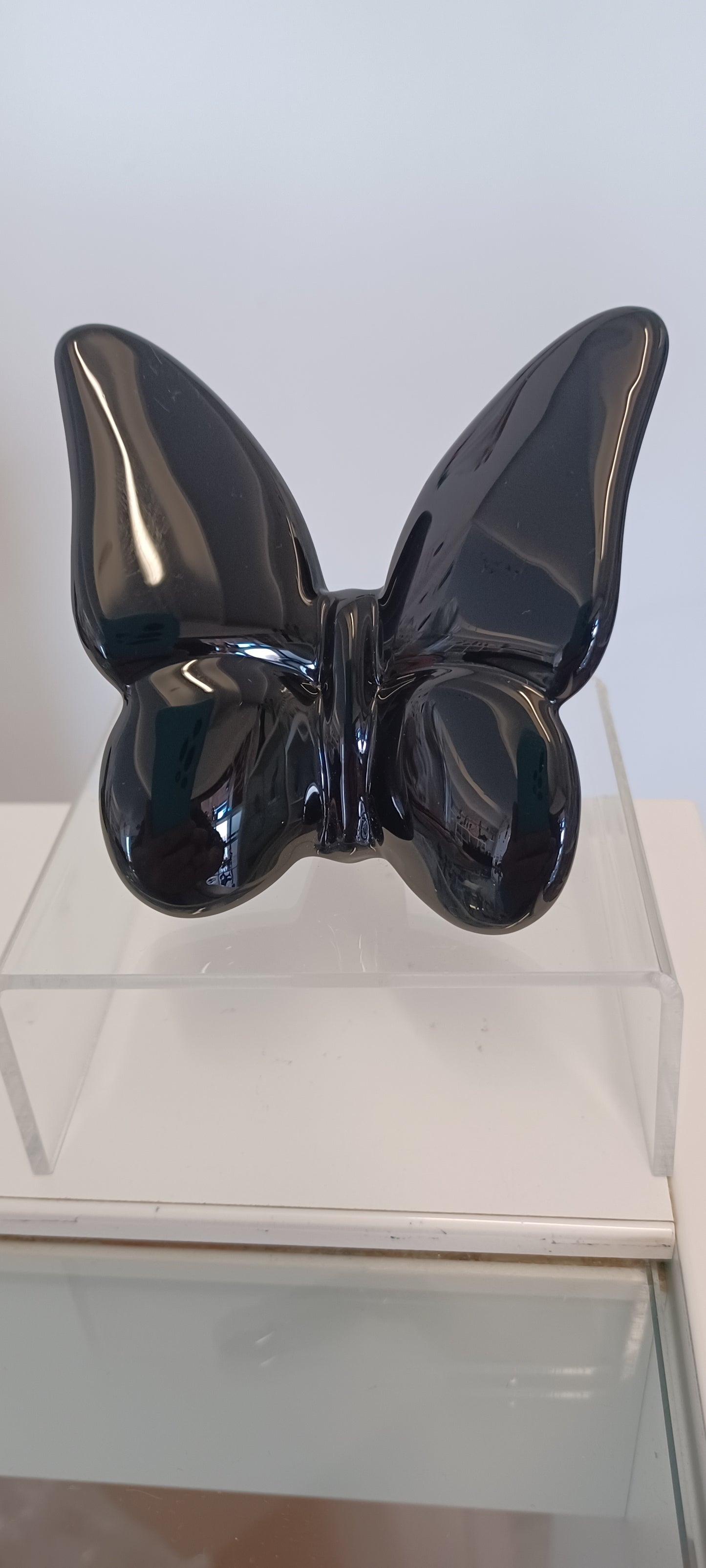 Glass Butterfly