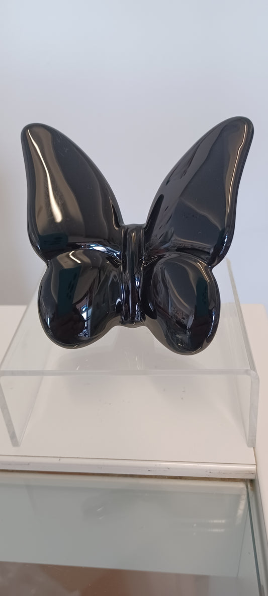 Glass Butterfly