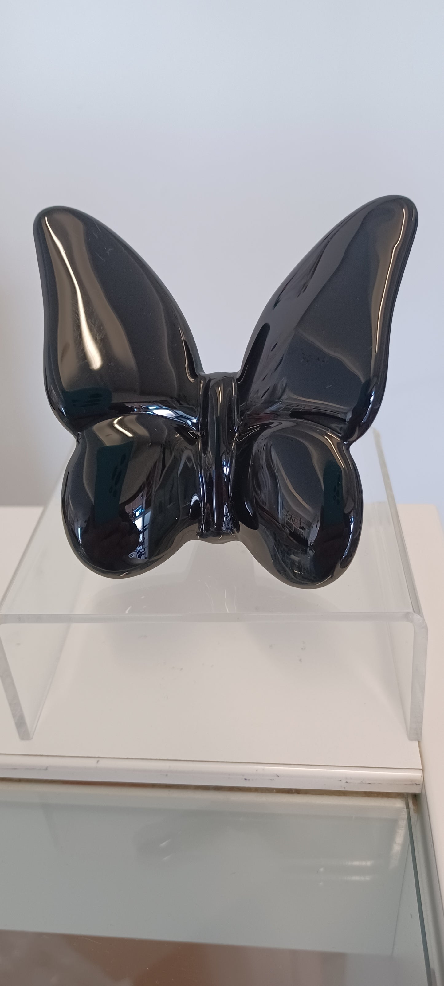 Glass Butterfly