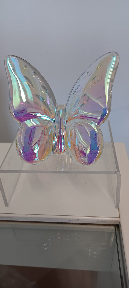Glass Butterfly