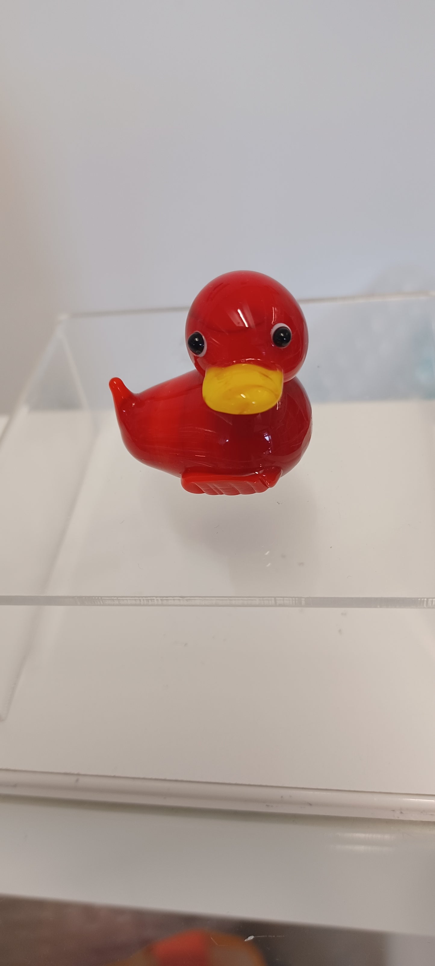 Glass Duck