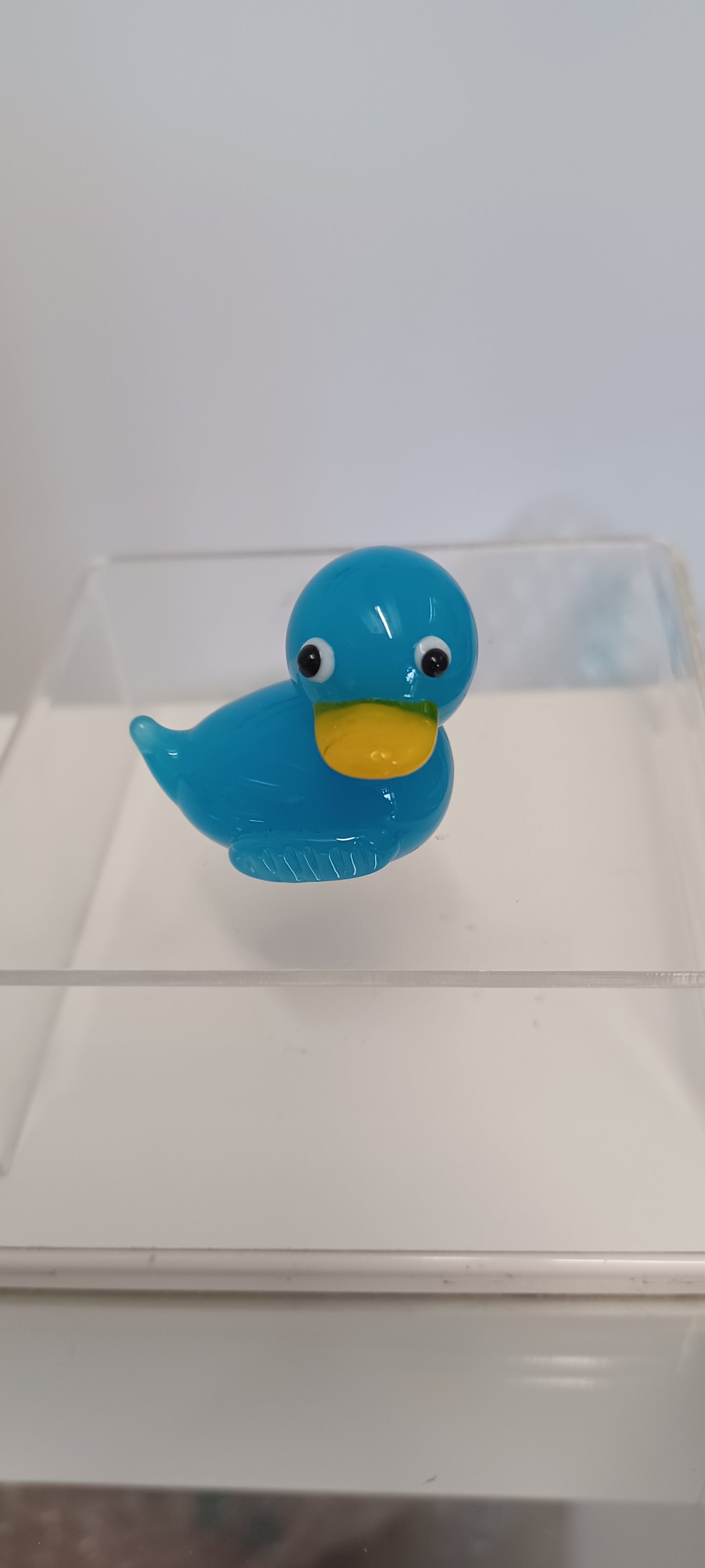 Glass Duck