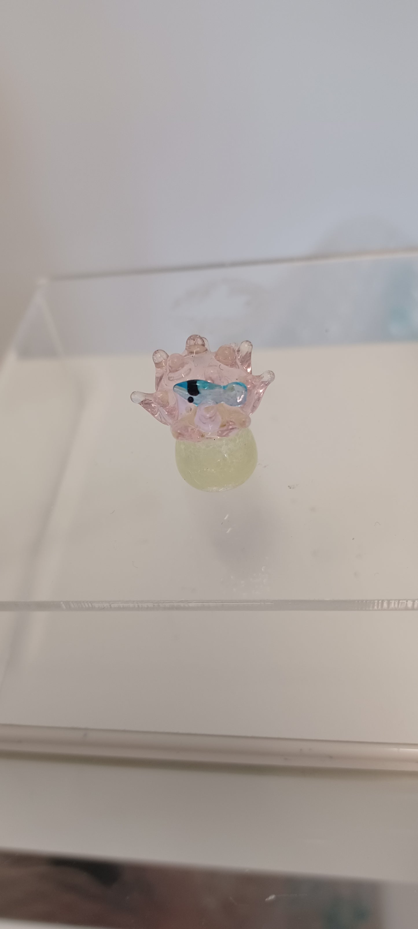 Glass Fish