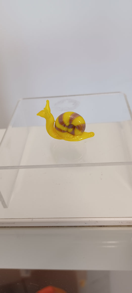 Glass Snail
