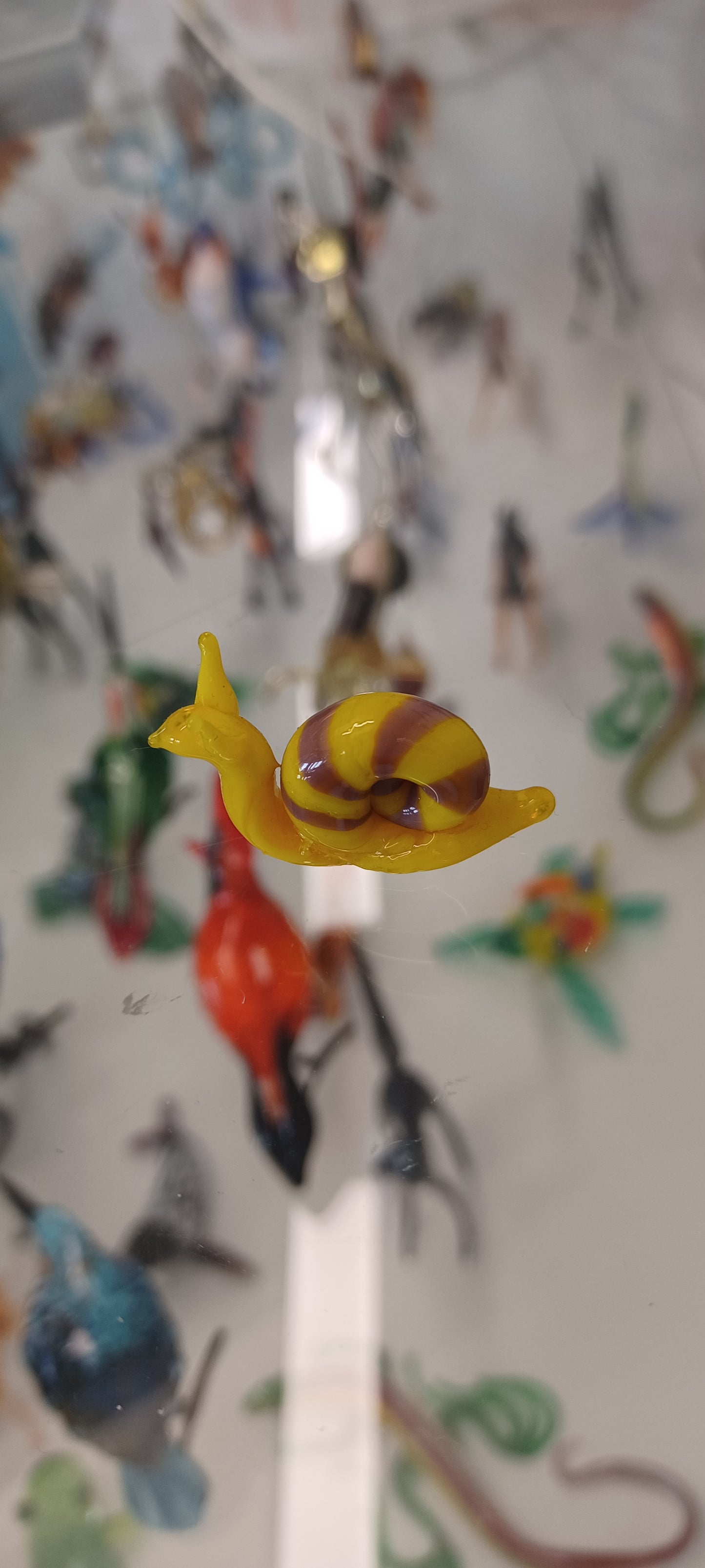 Glass Snail