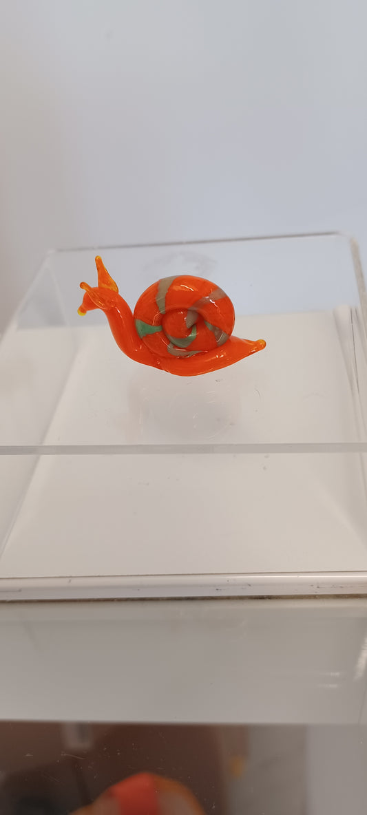 Glass Snail