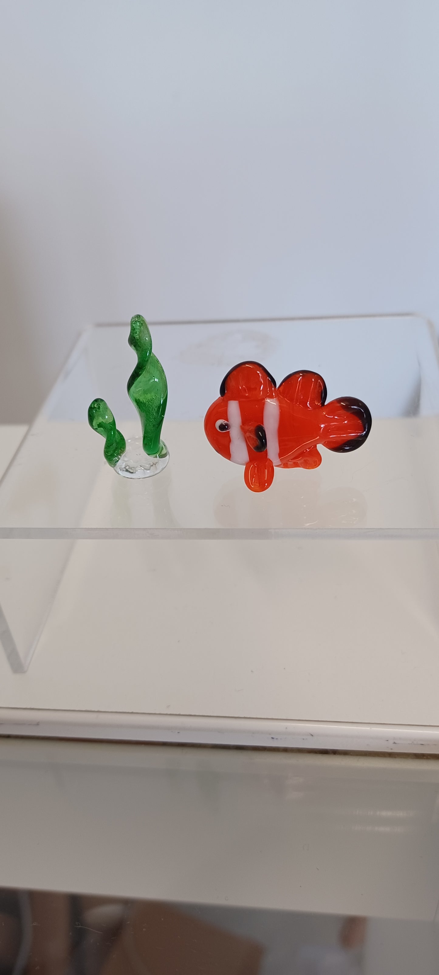 Glass Fish