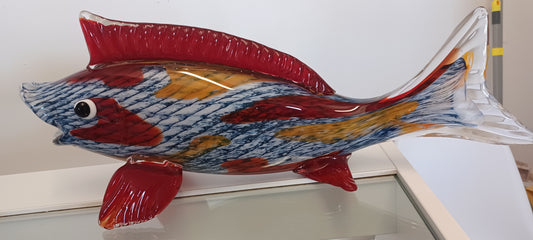 Glass Fish