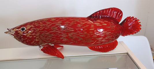 Glass Fish