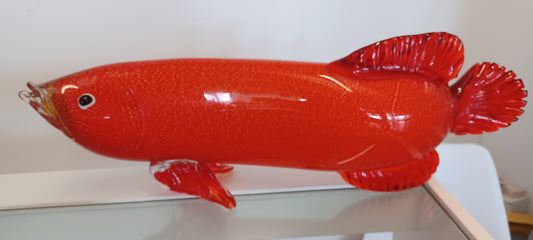 Glass Fish