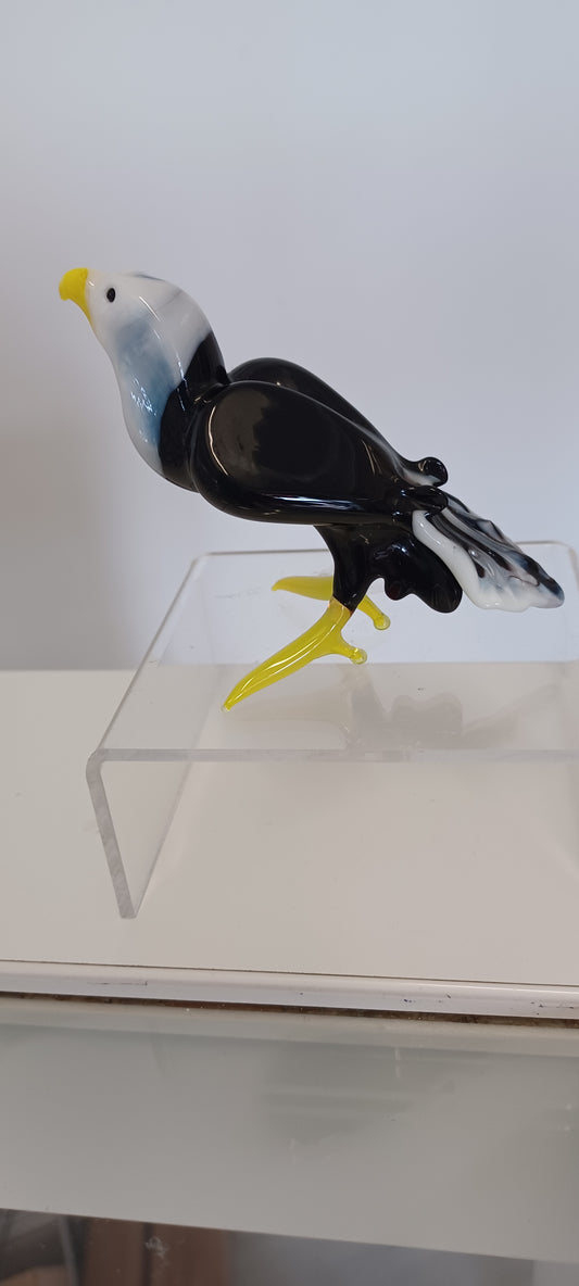 Glass Bird