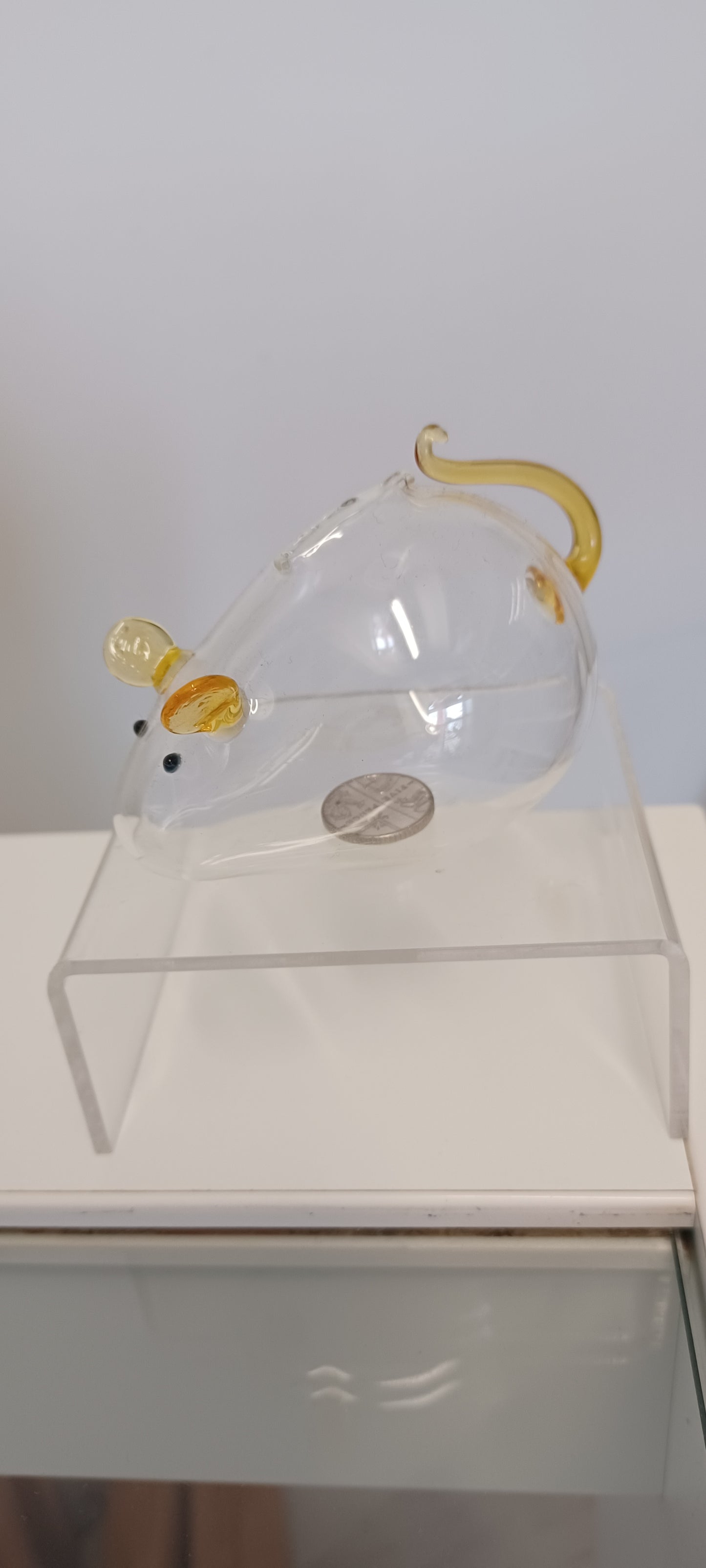 Glass Mouse