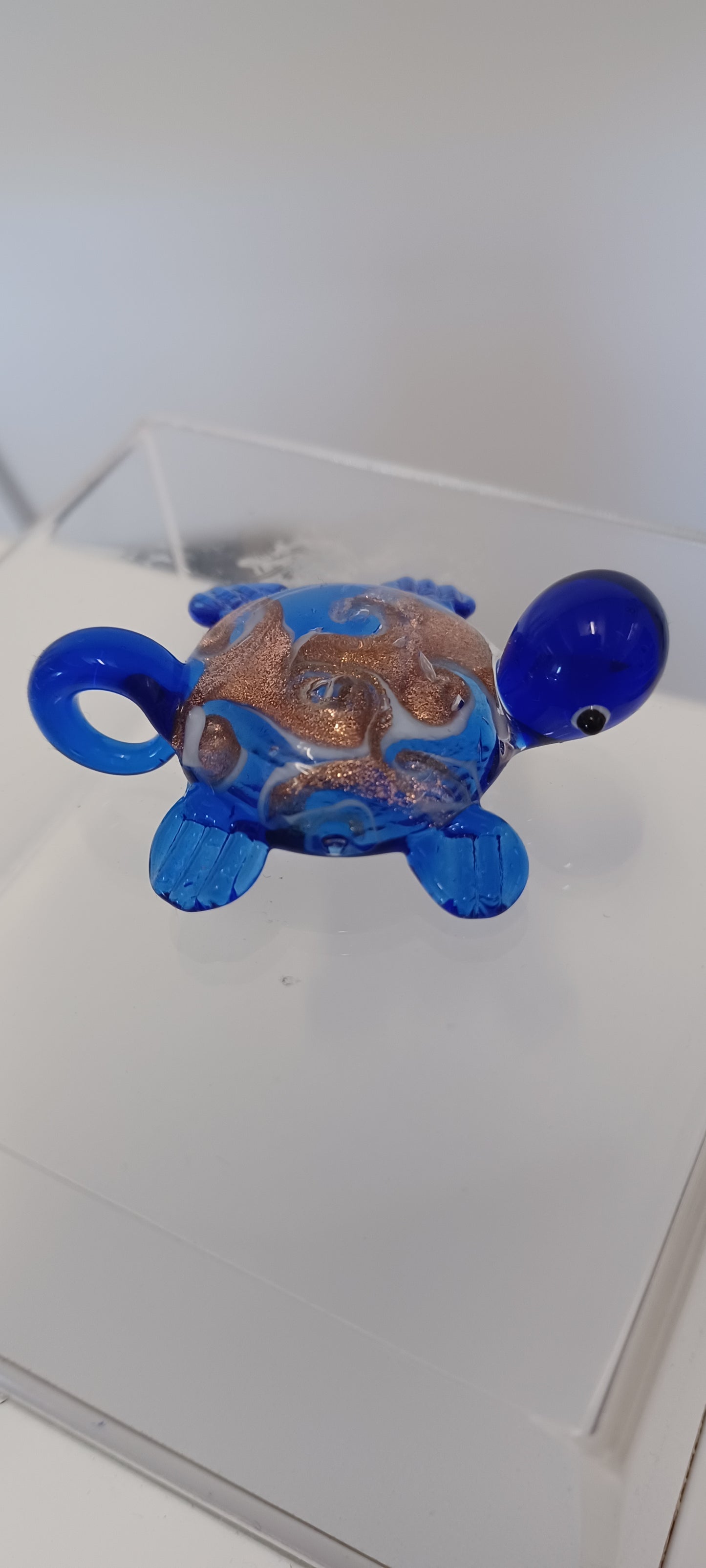 Glass Turtle
