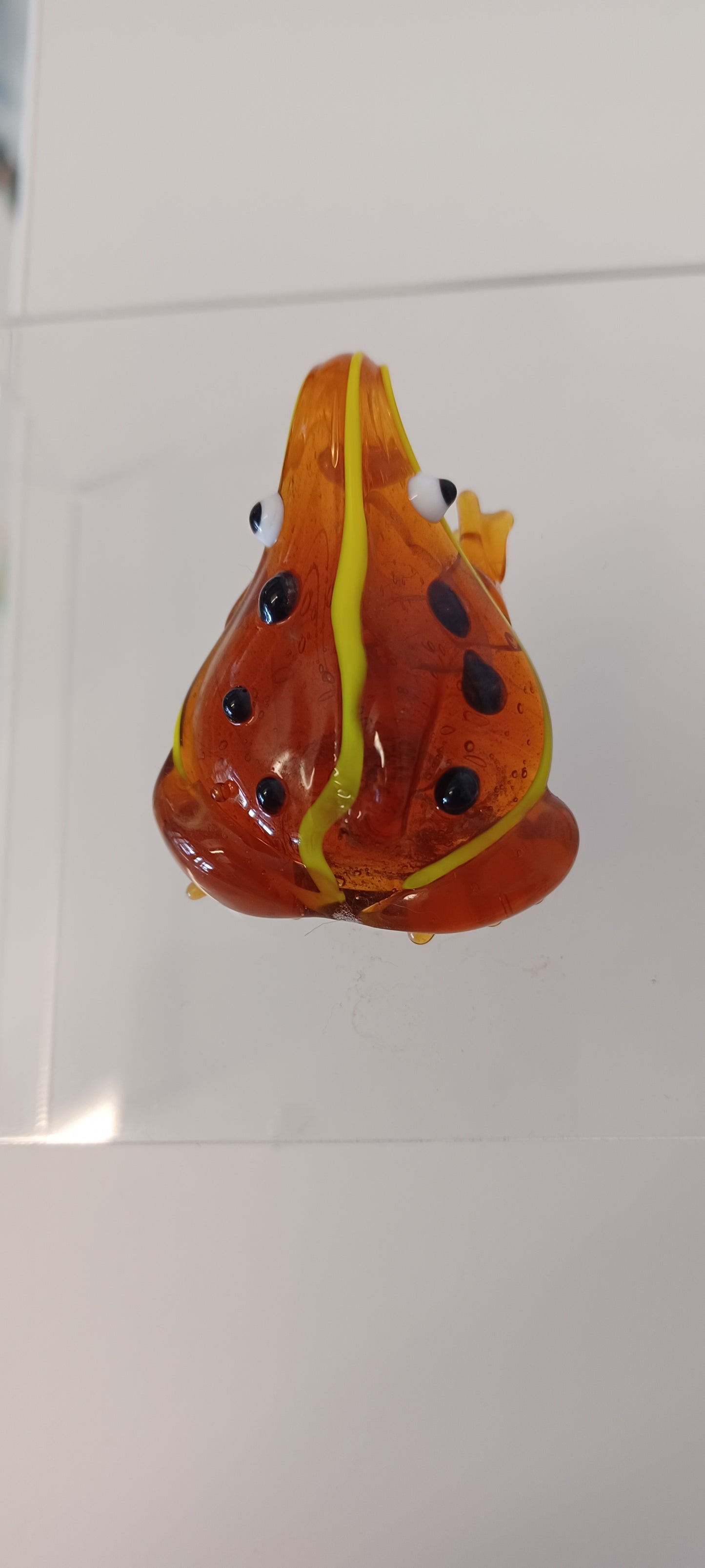 Glass Frog