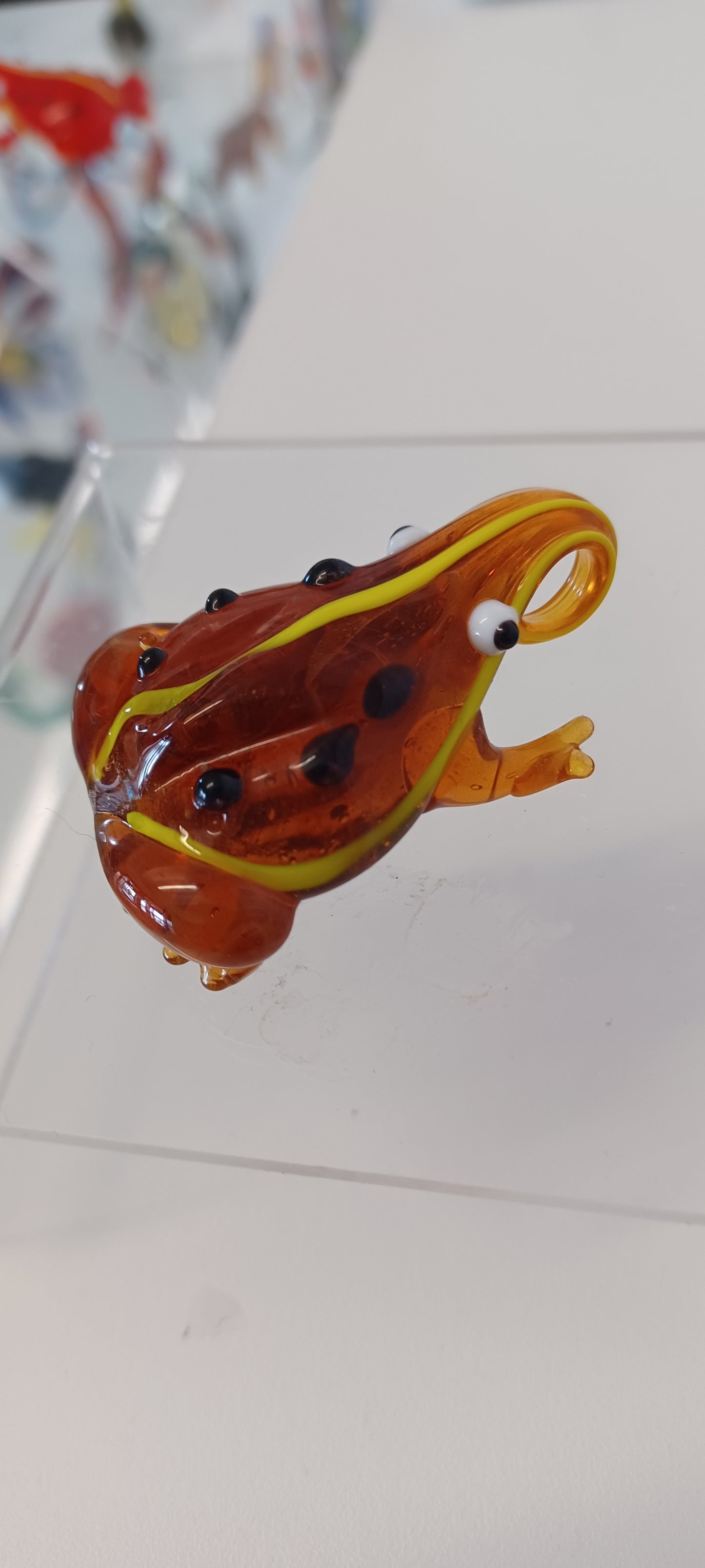 Glass Frog