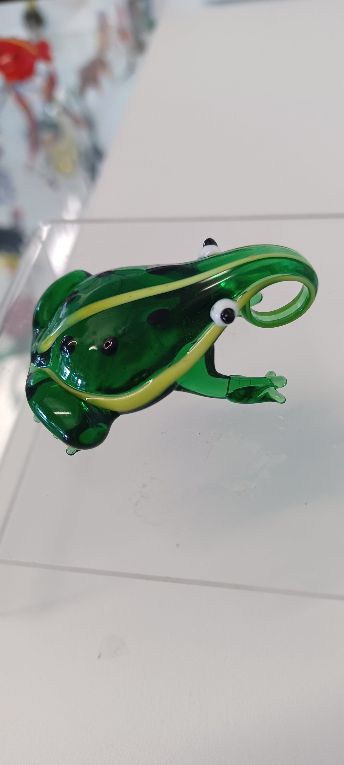 Glass Frog