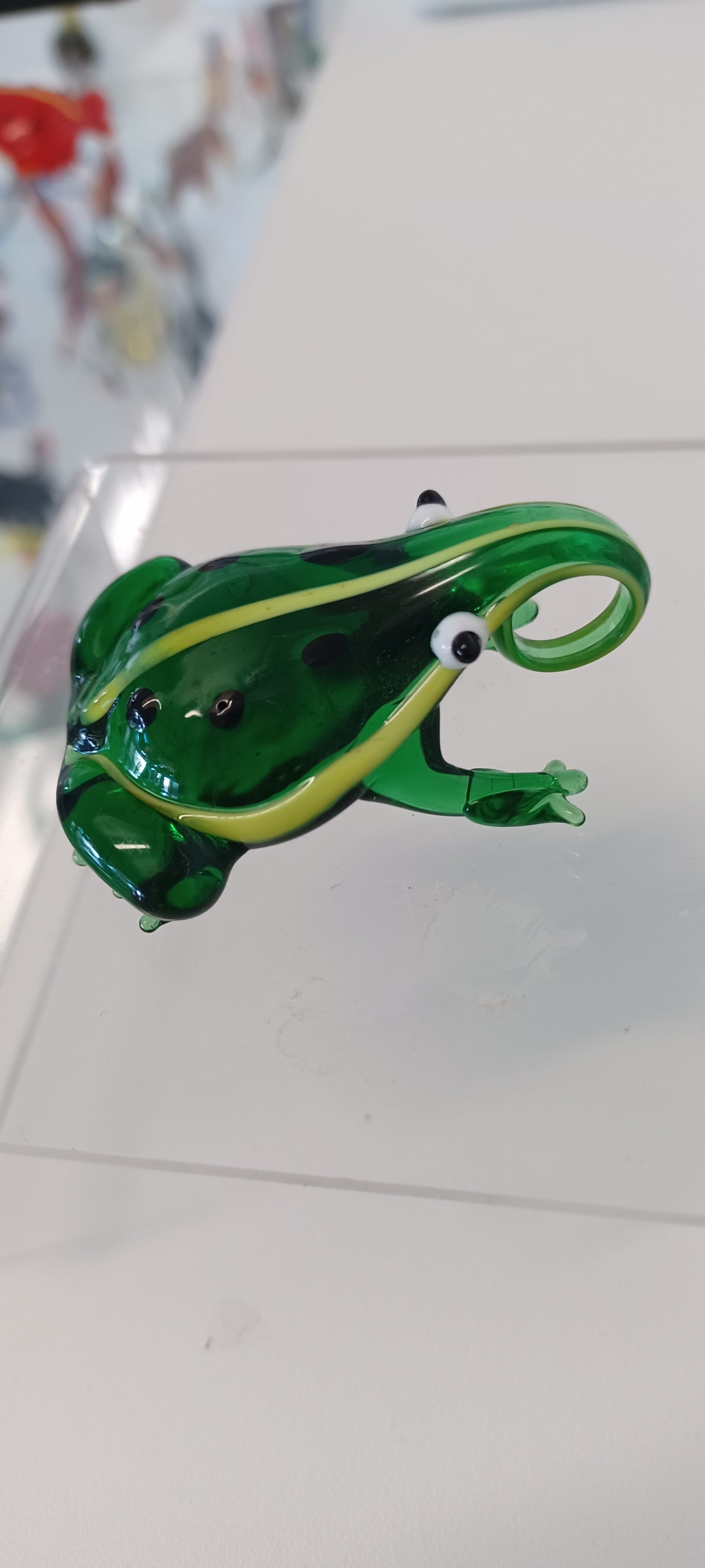 Glass Frog