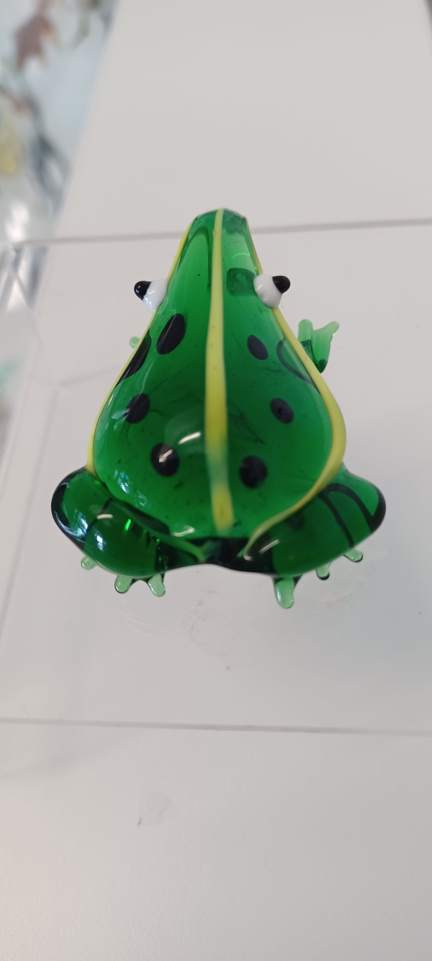 Glass Frog