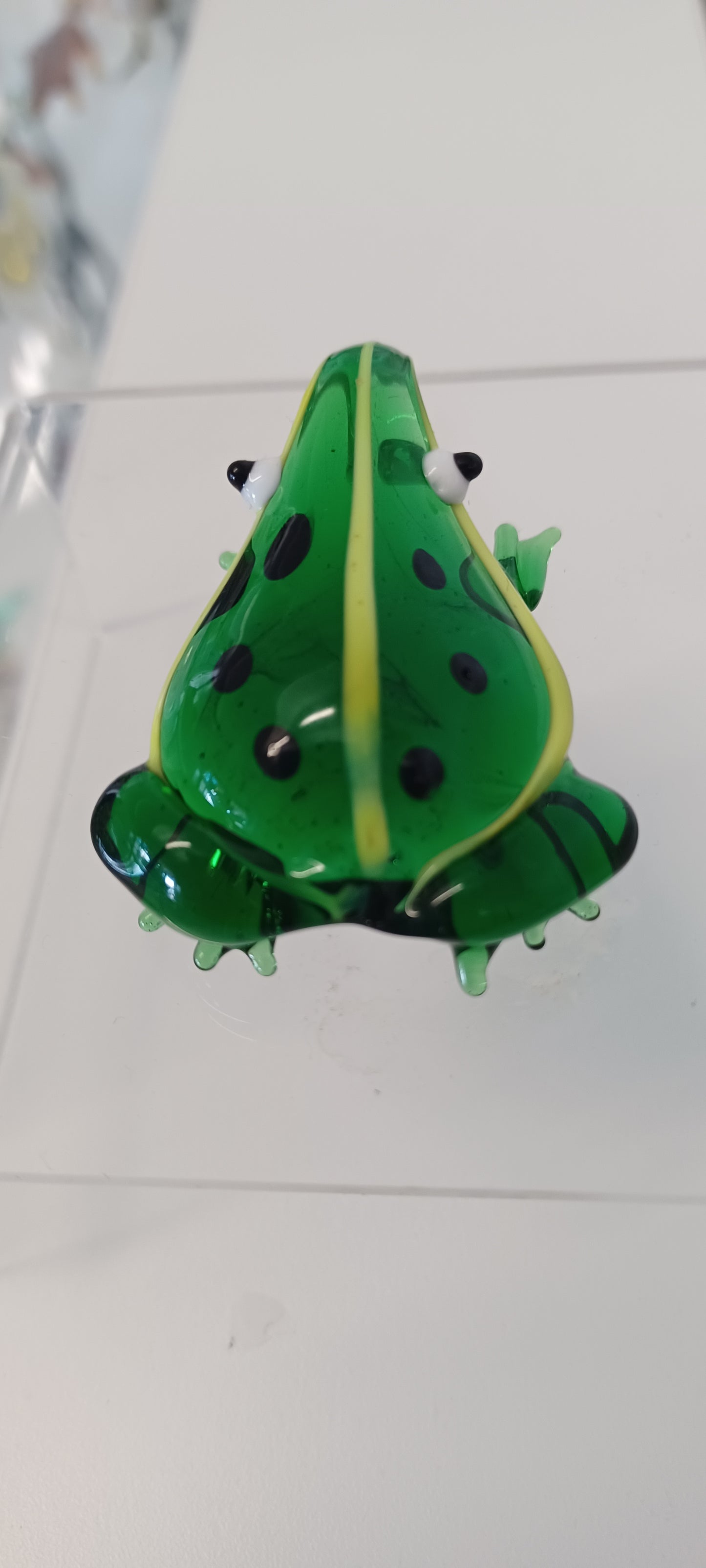 Glass Frog