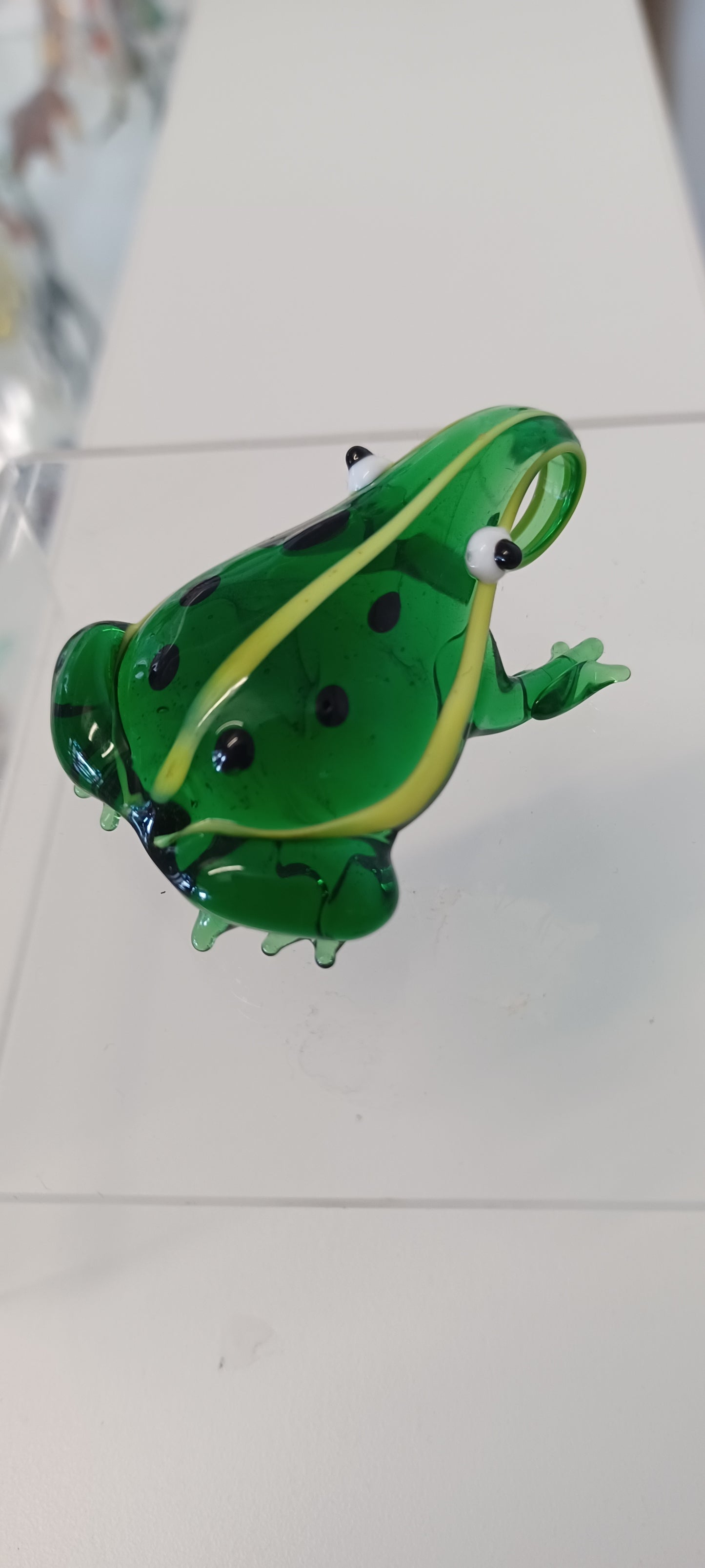 Glass Frog