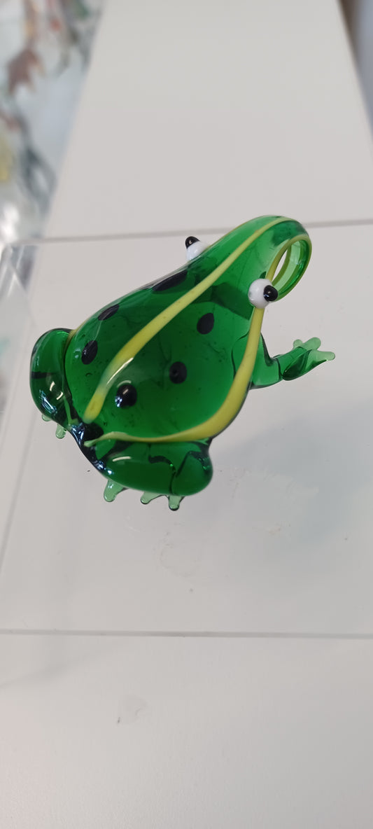 Glass Frog