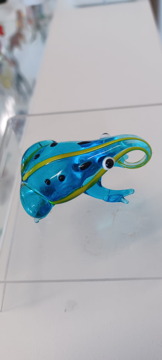 Glass Frog