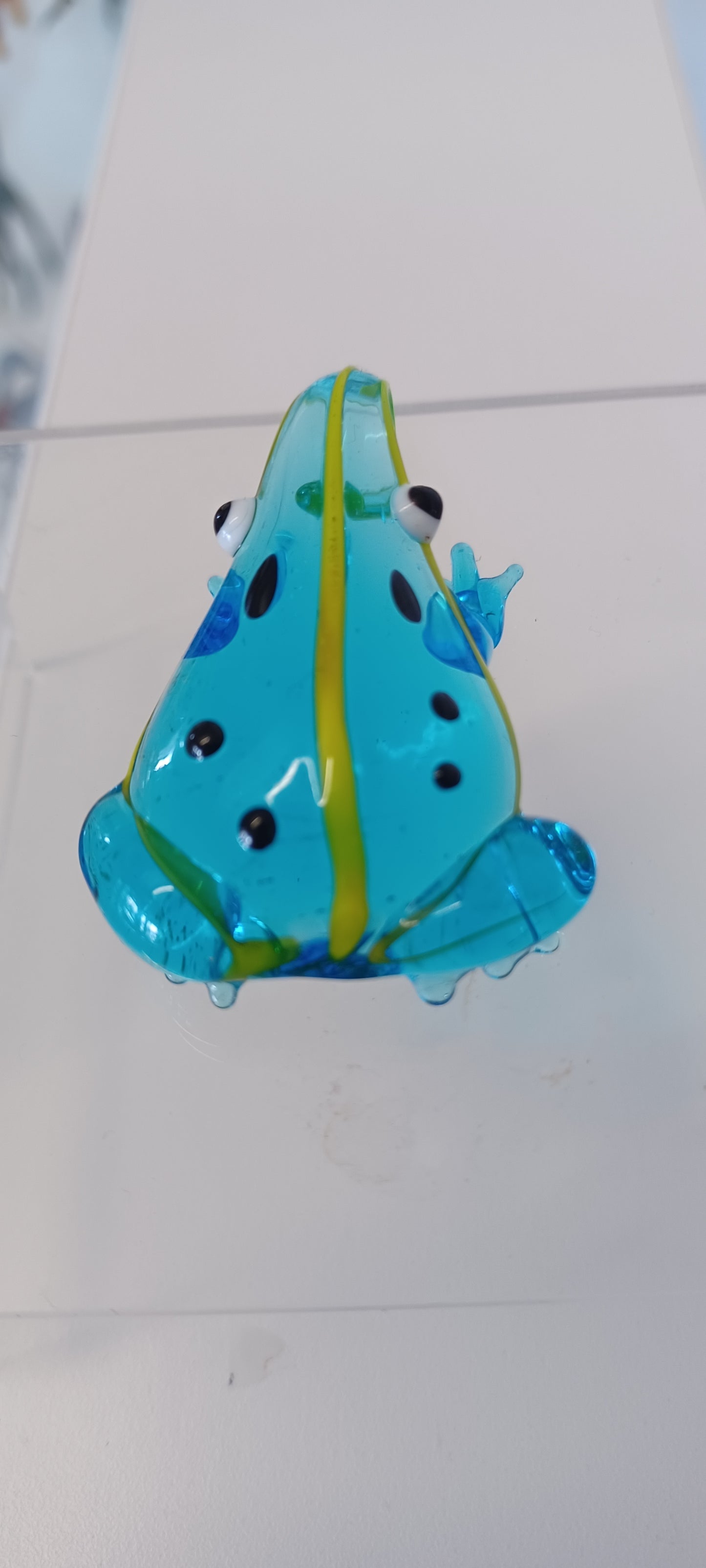 Glass Frog