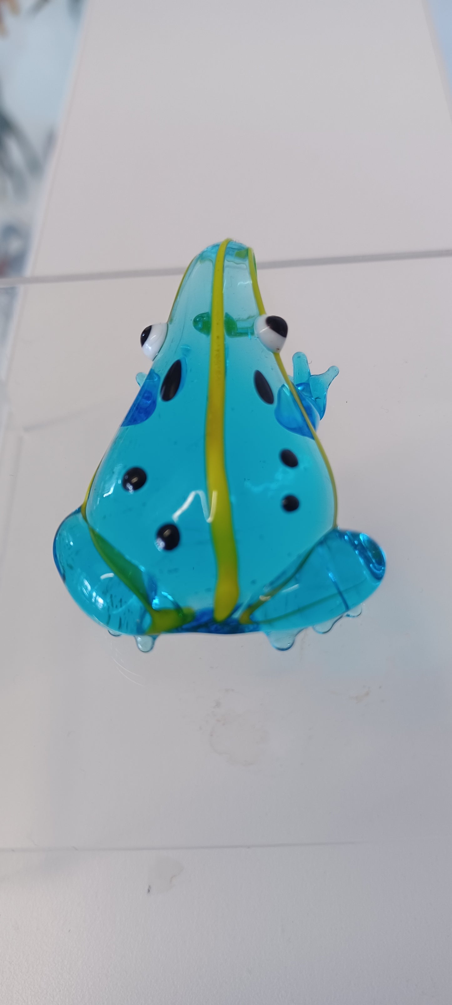 Glass Frog