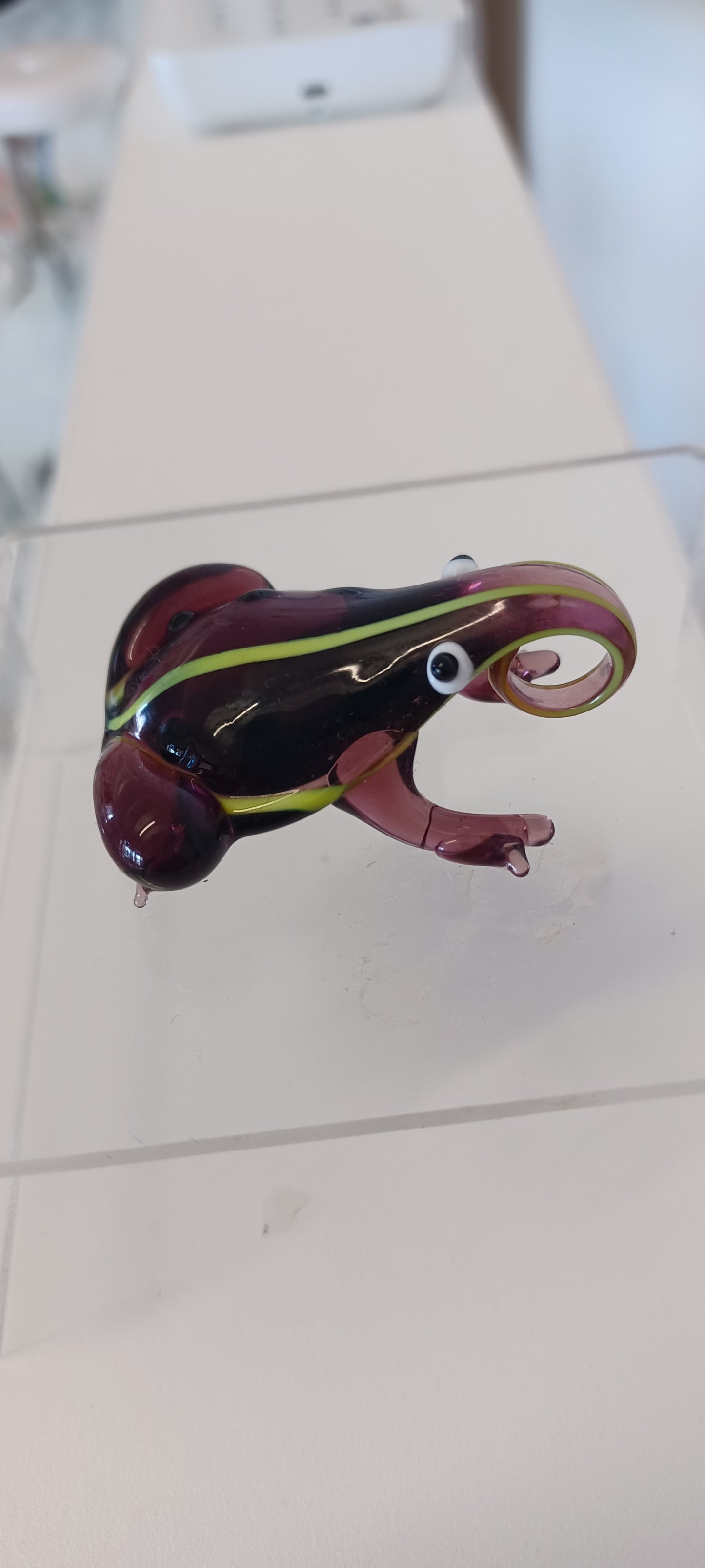 Glass Frog