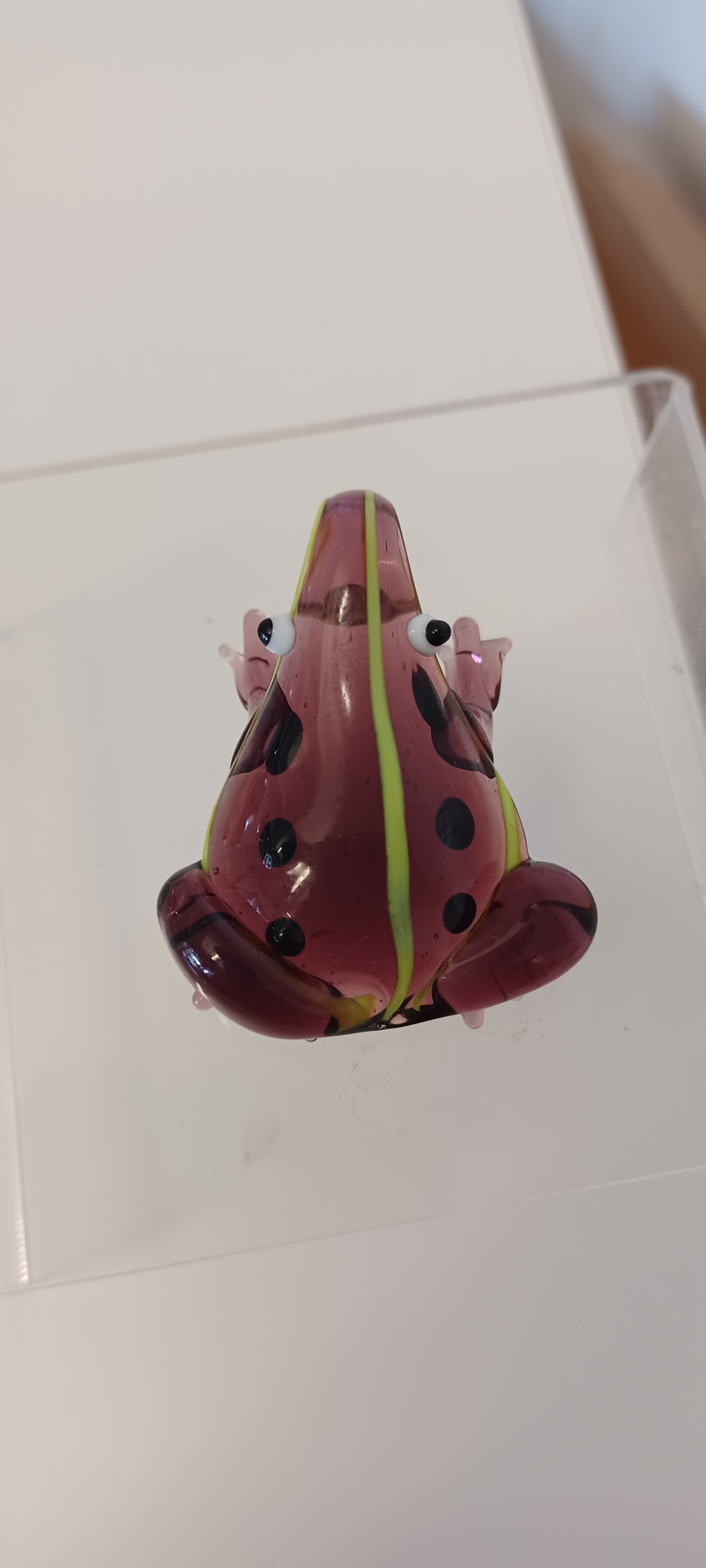 Glass Frog