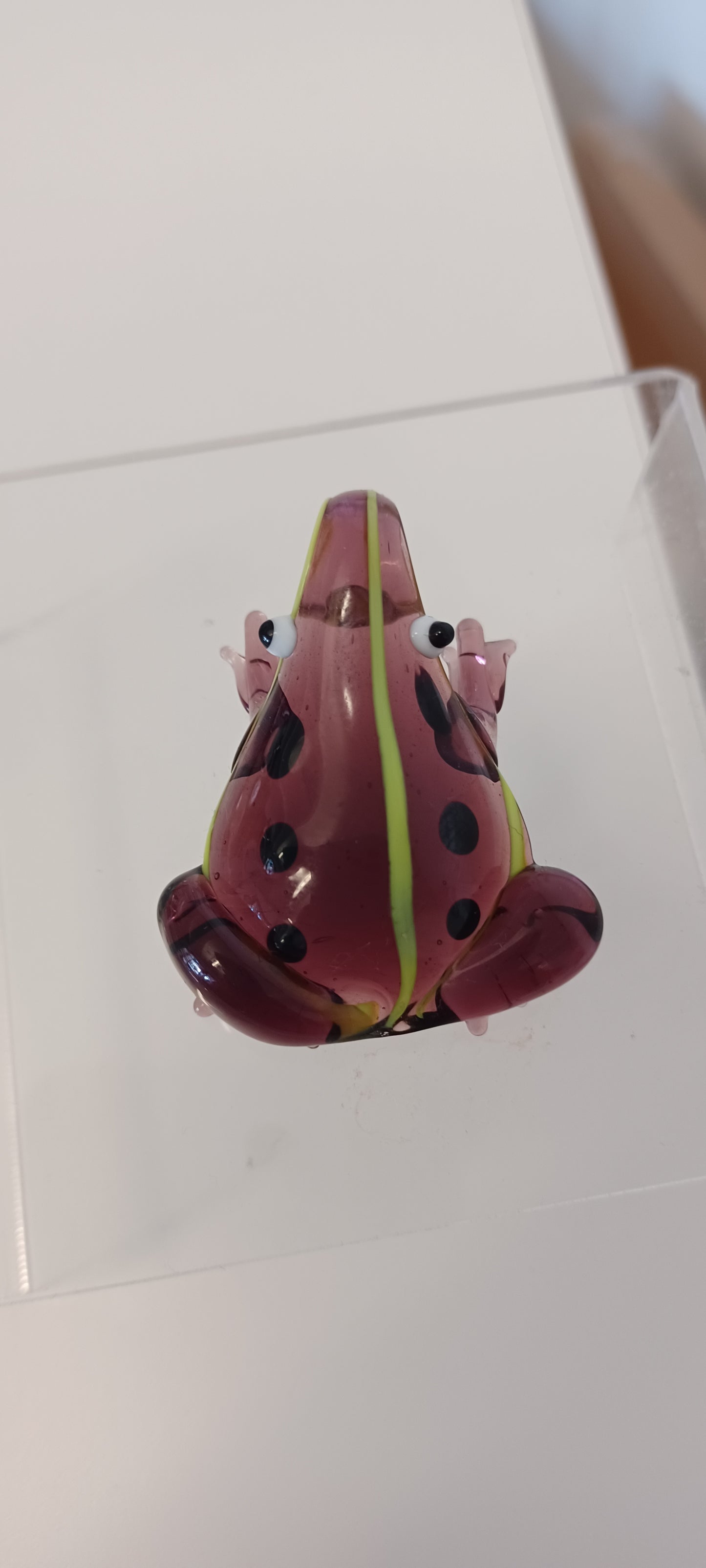 Glass Frog