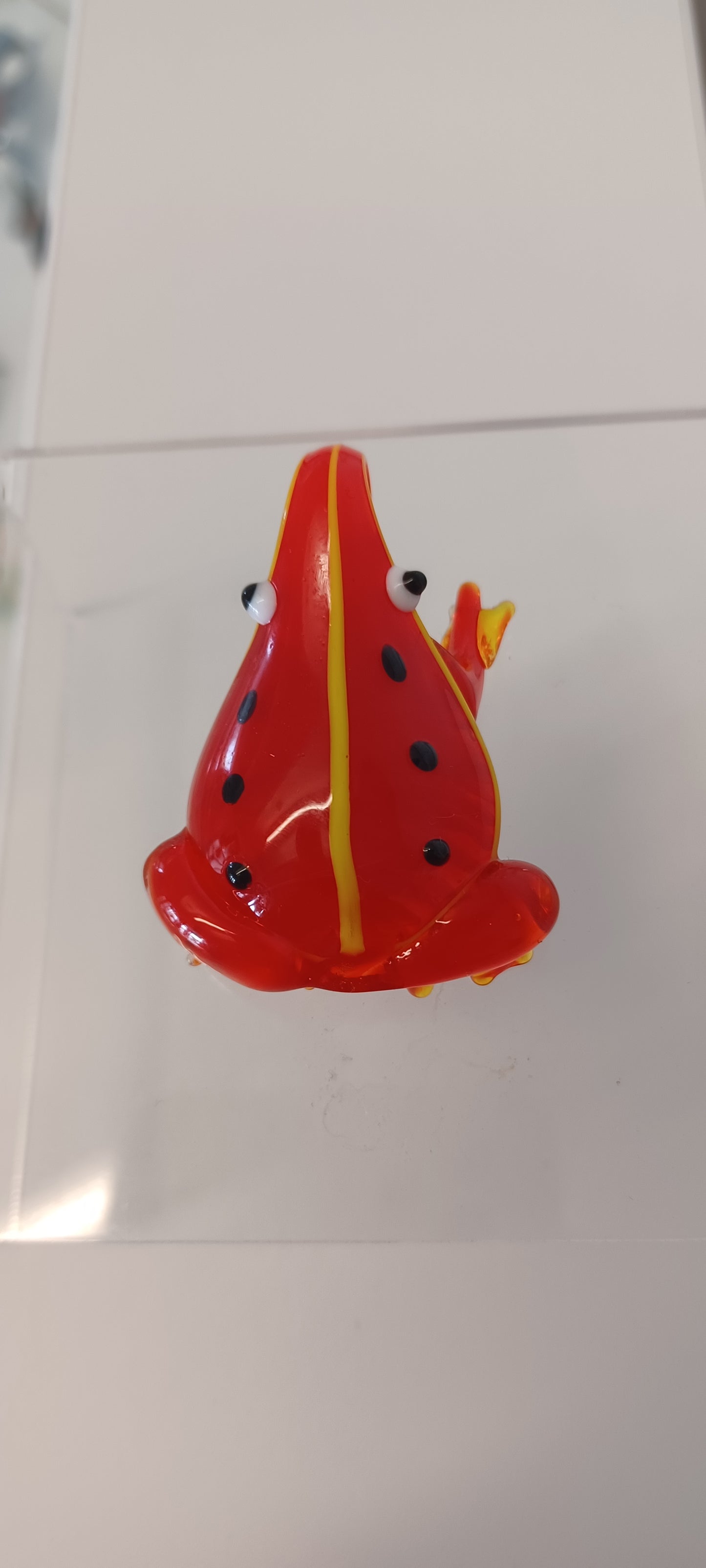 Glass Frog