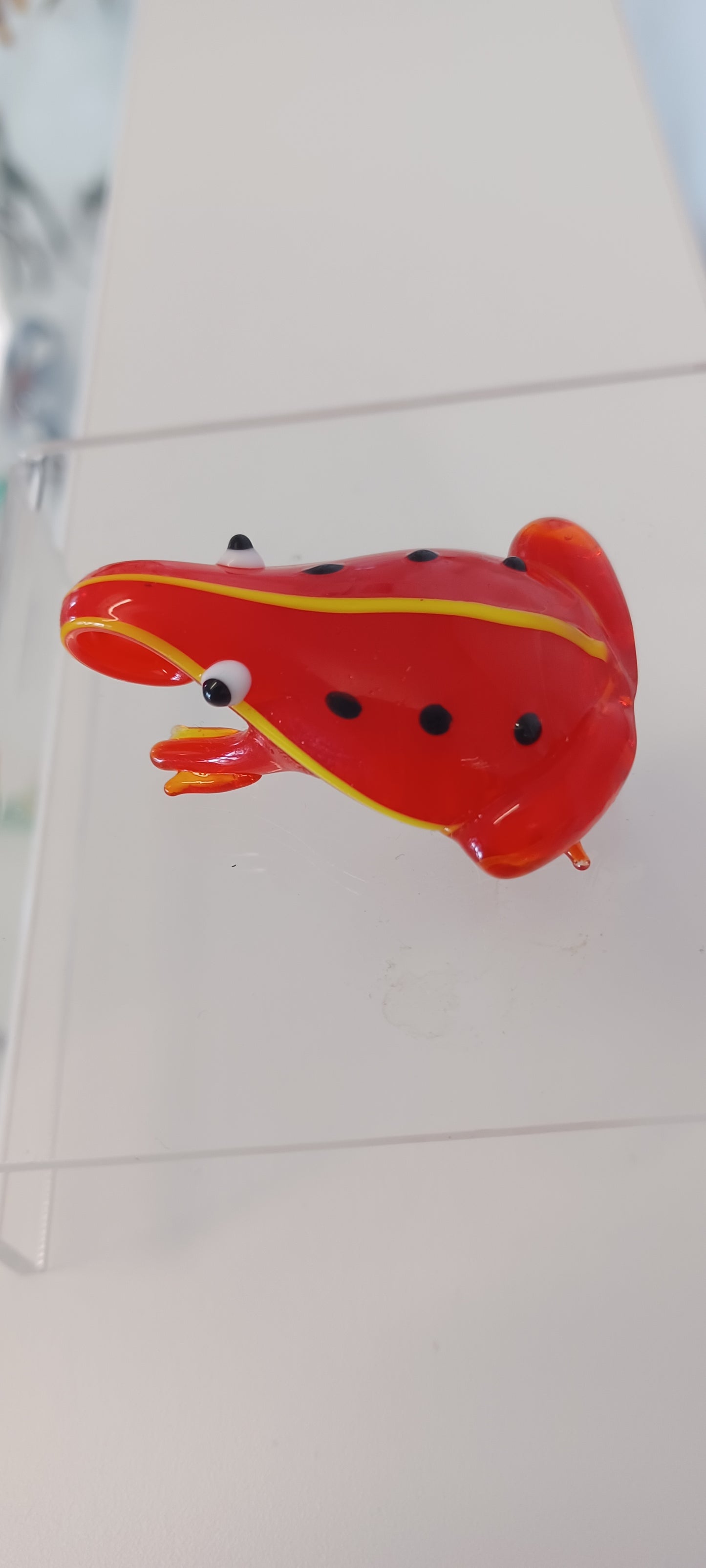 Glass Frog