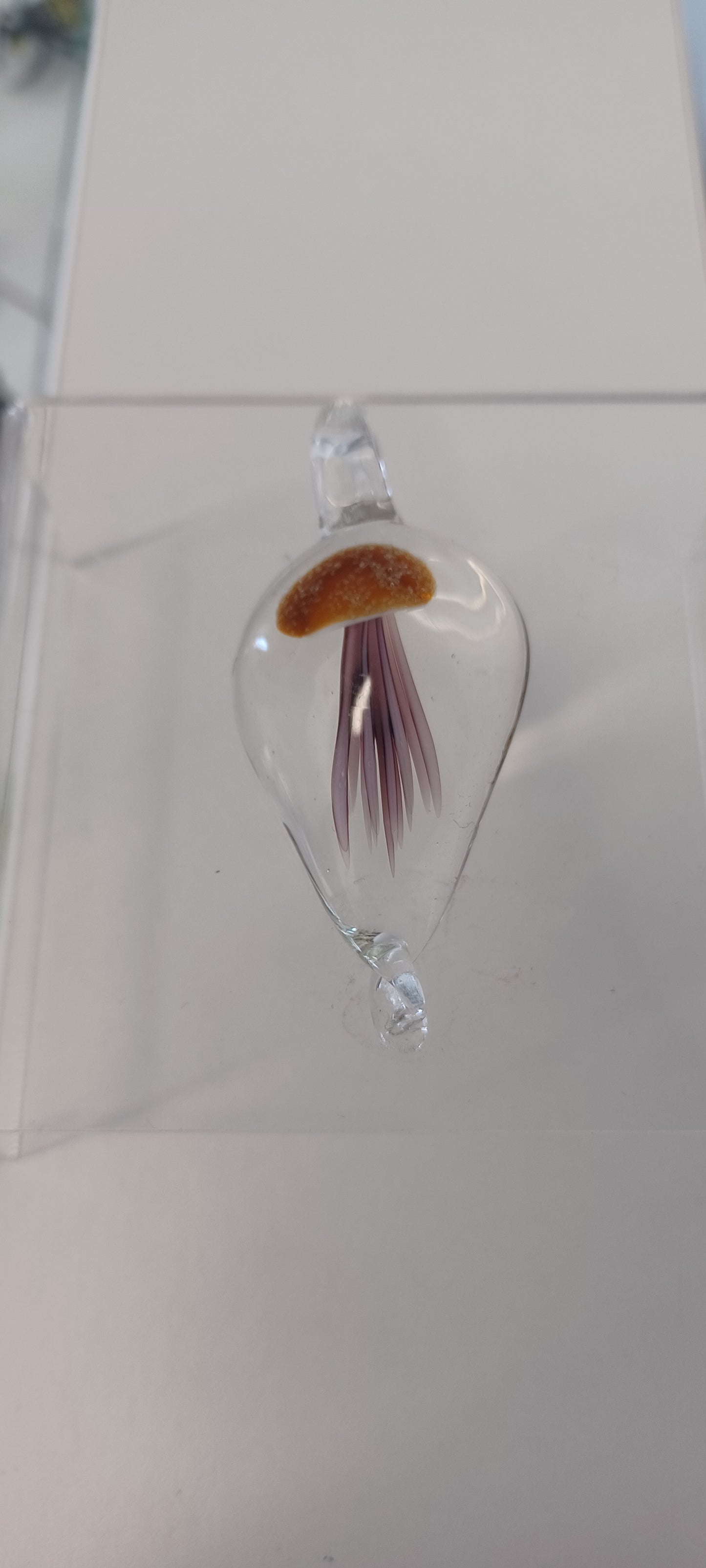 Glass Jellyfish