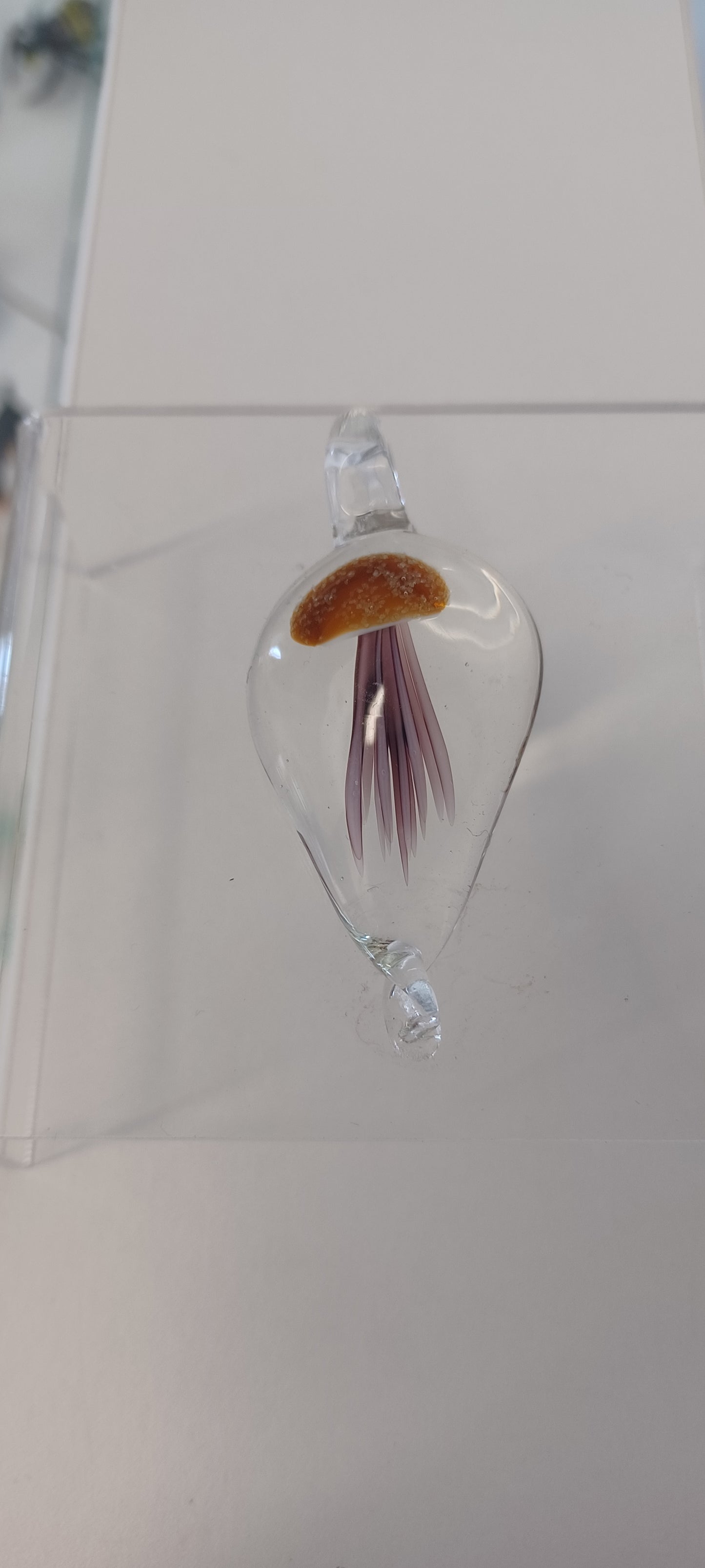 Glass Jellyfish