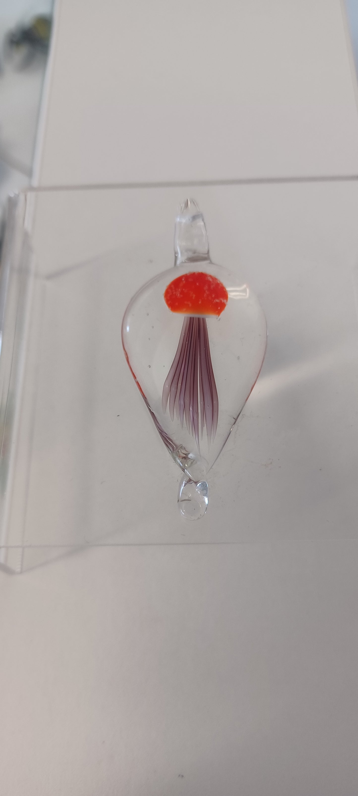 Glass Jellyfish