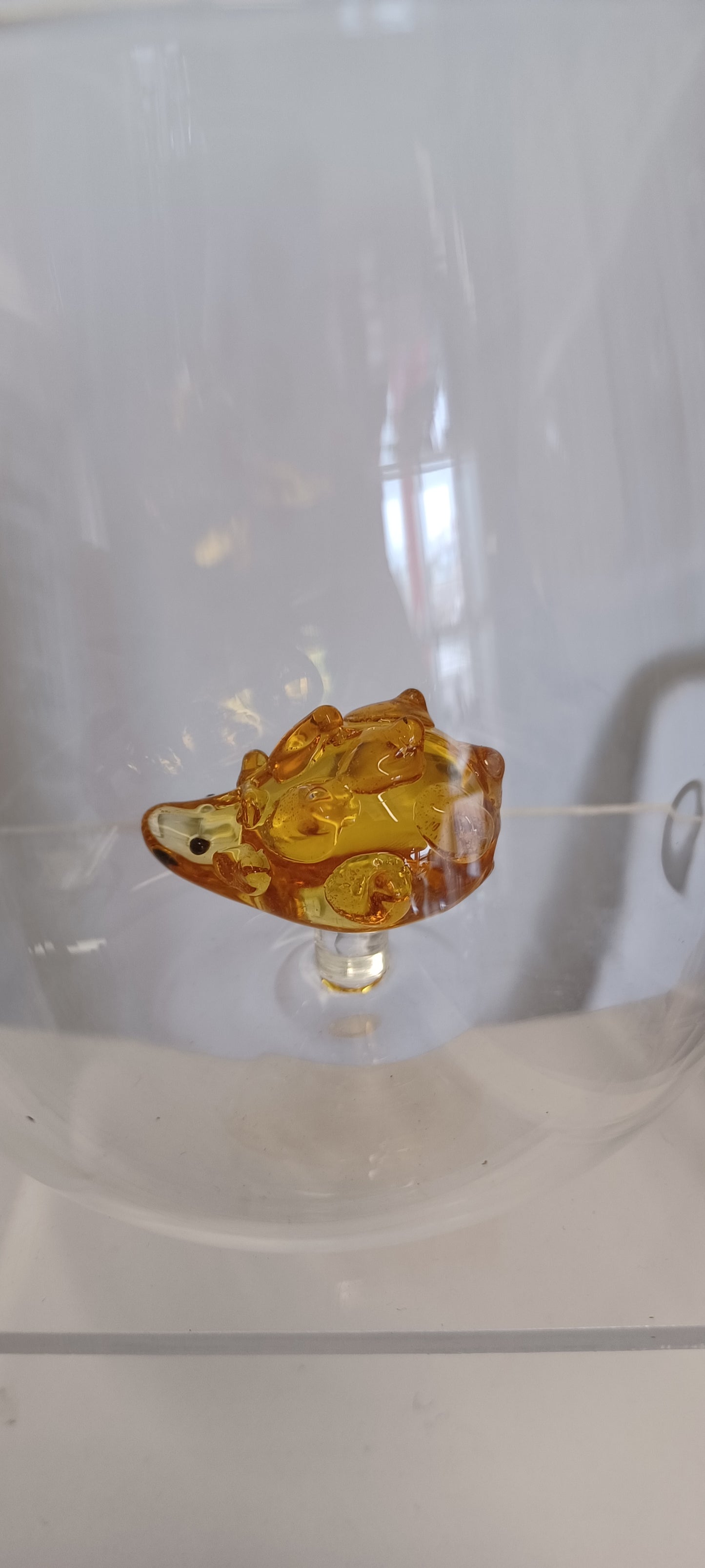 Glass Cup