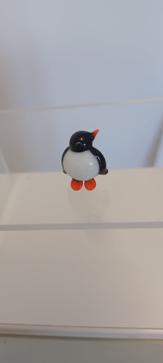 Glass Penguin