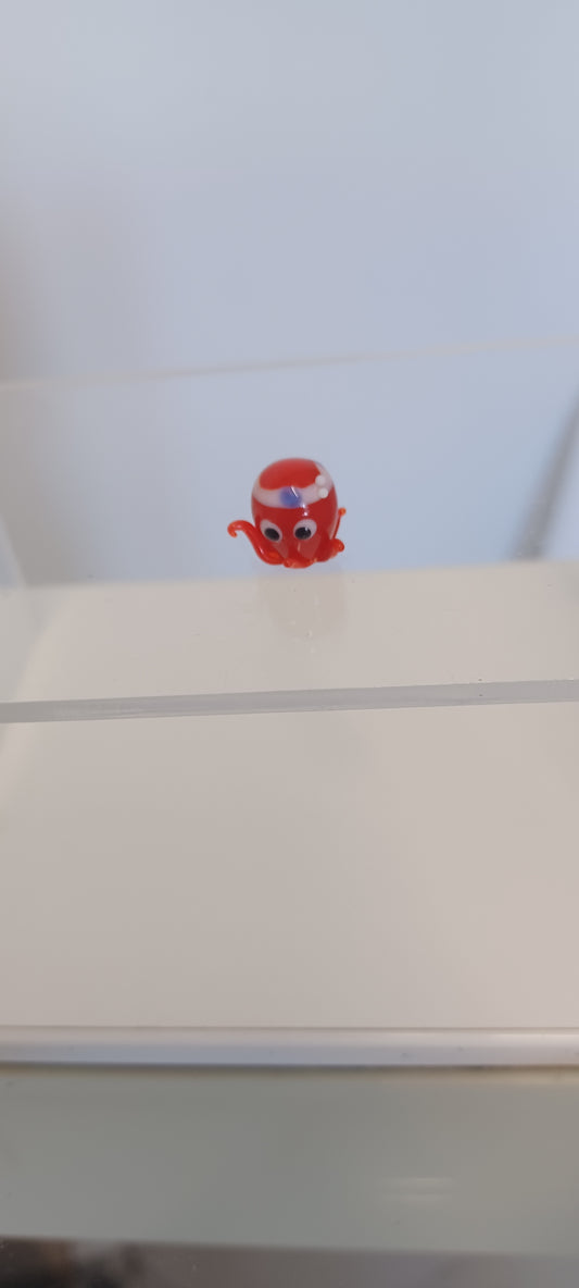 Glass Octopus