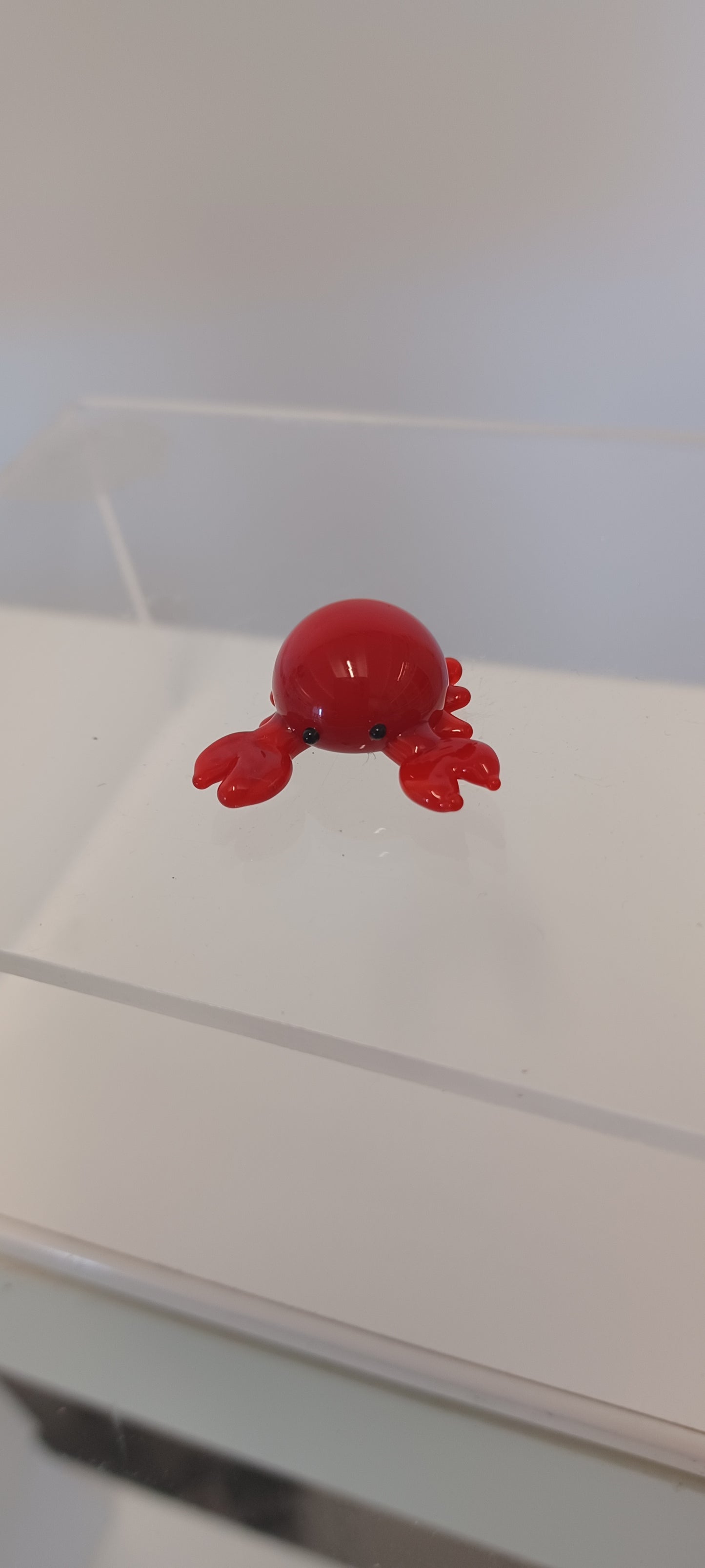 Glass Crab