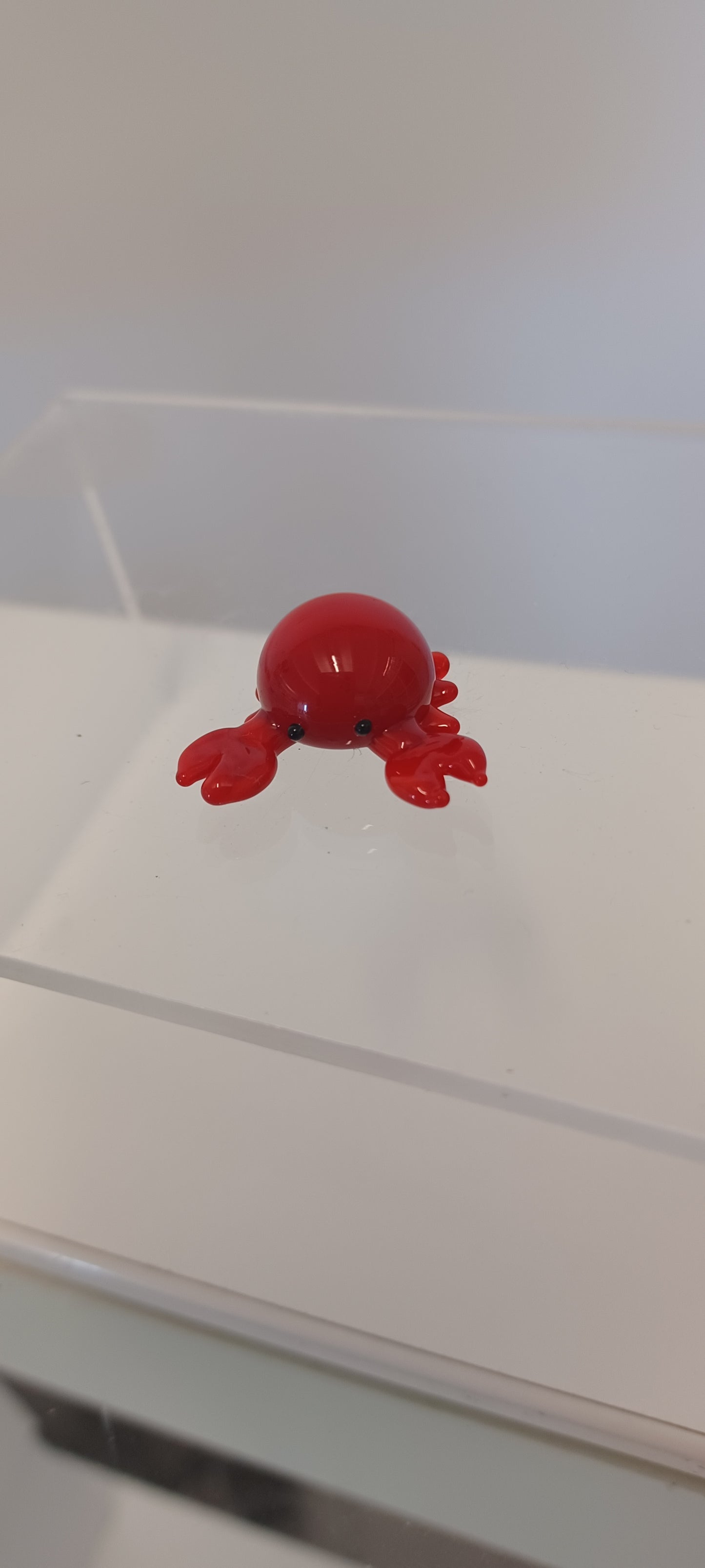 Glass Crab