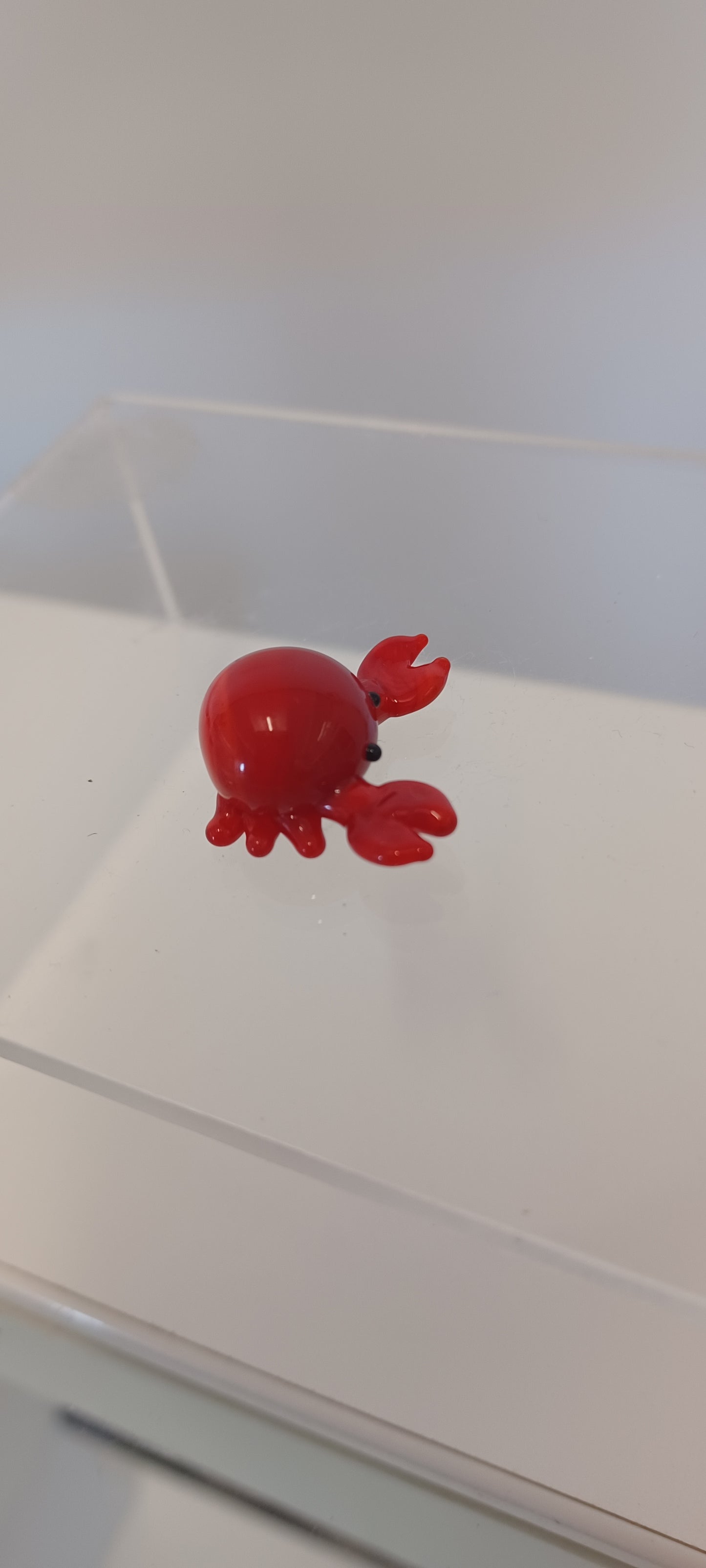 Glass Crab