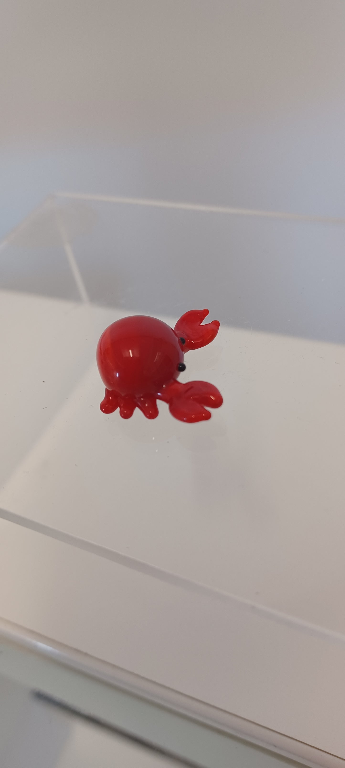 Glass Crab