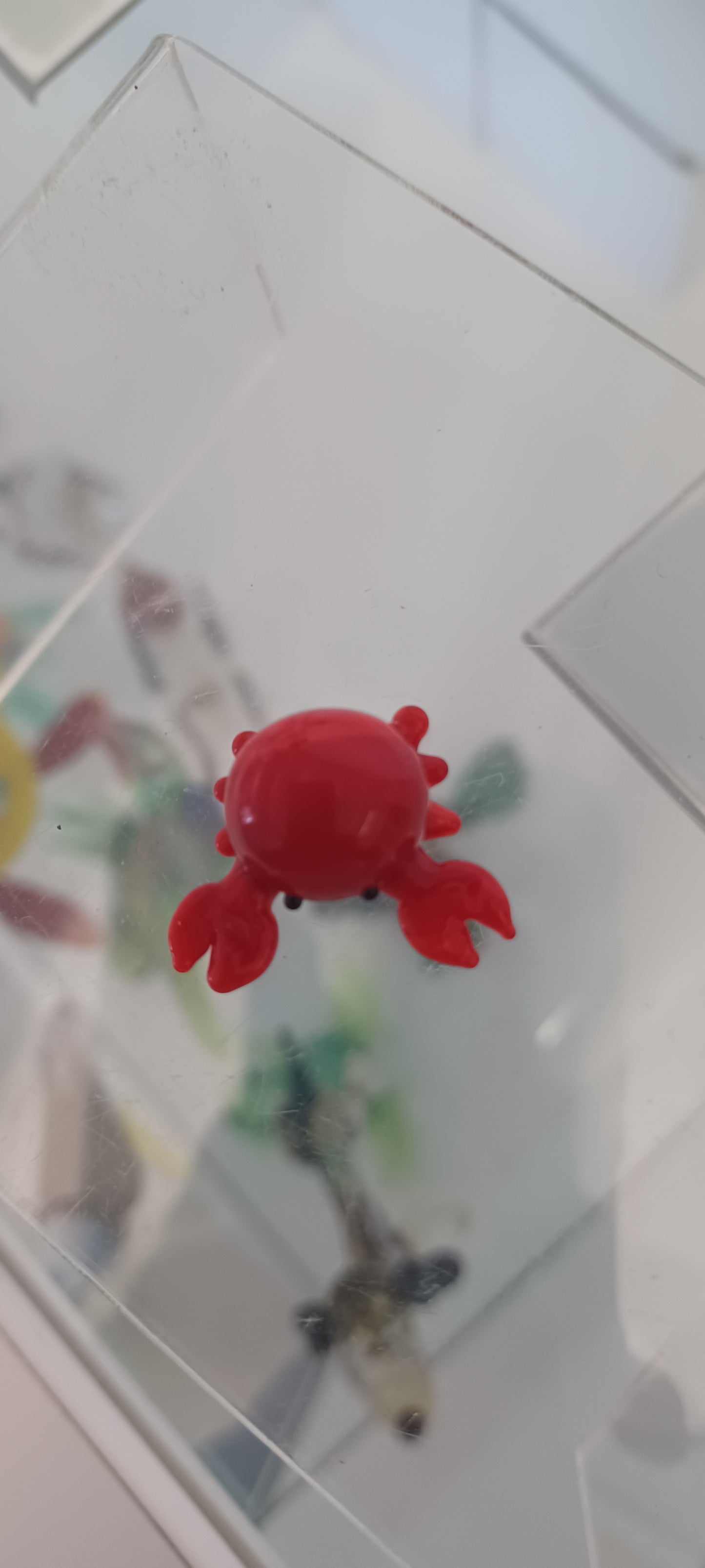 Glass Crab