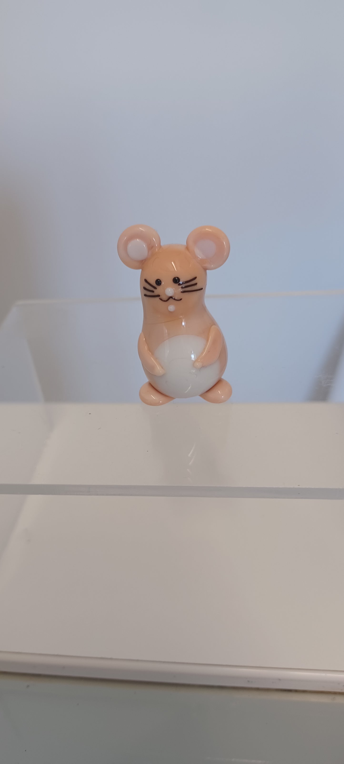 Glass Mouse