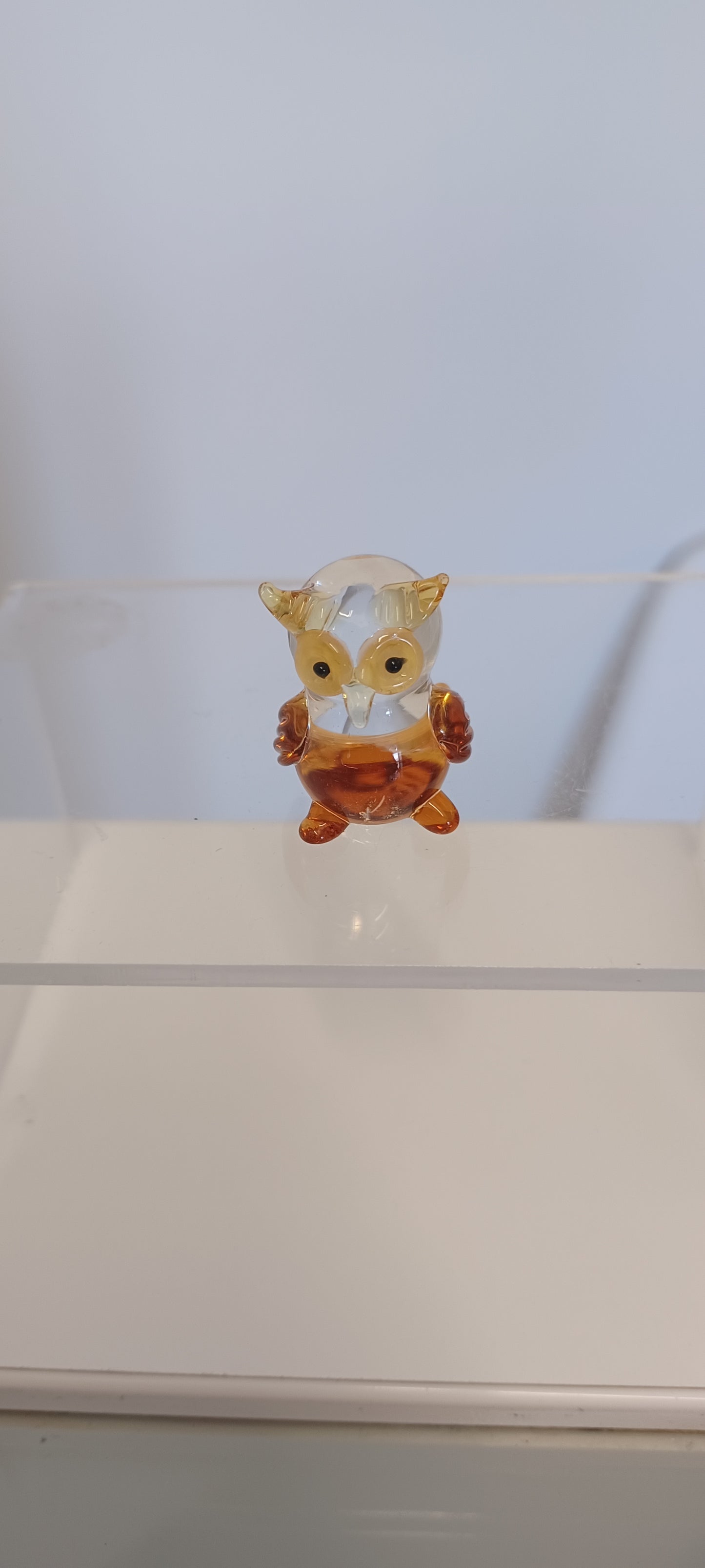 Glass Owl